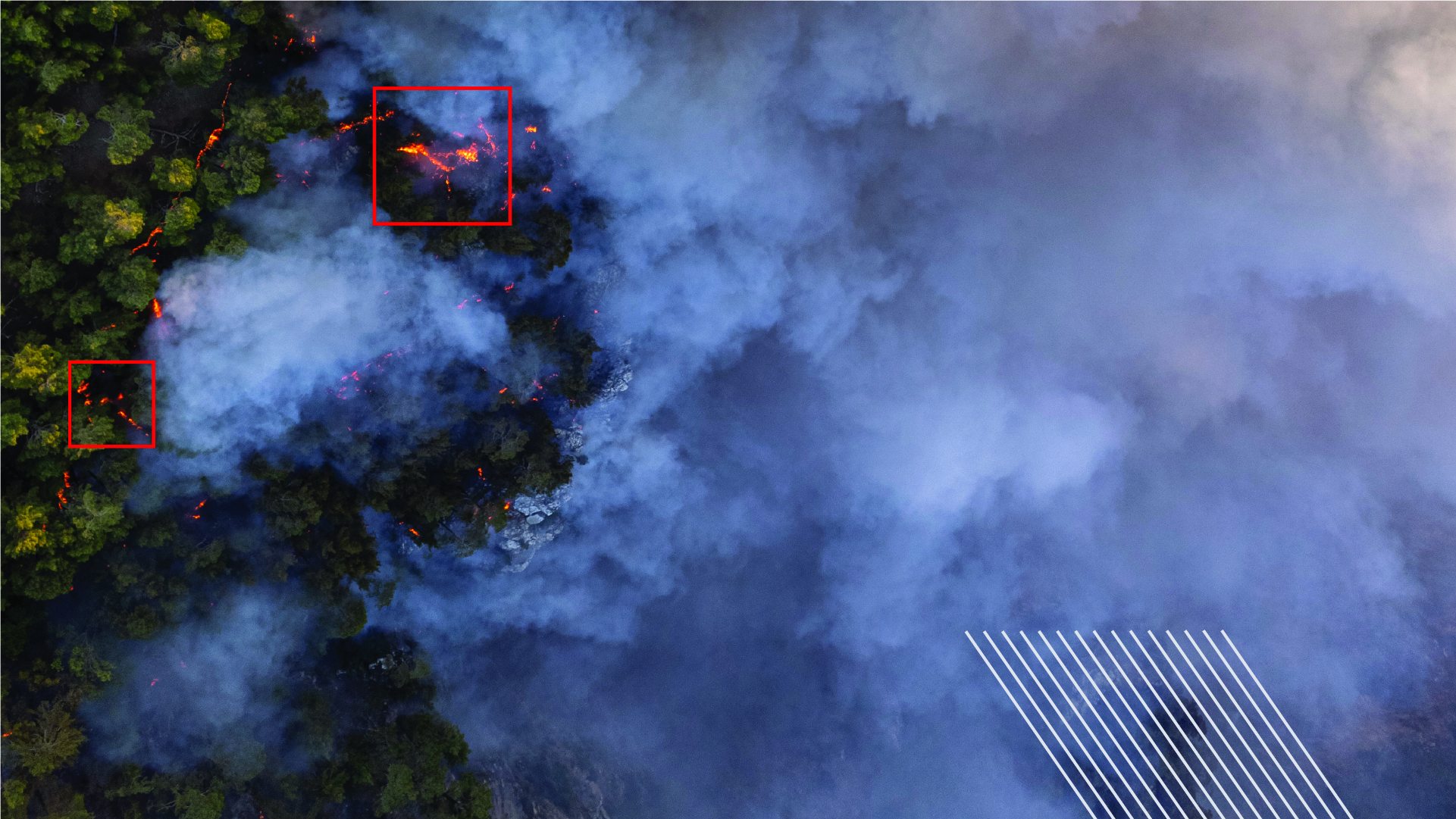 ideaForge Drones sUAV Forest Fire Detection